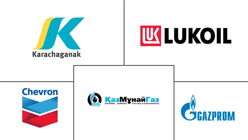 Exploring the Potential of Kazakhstan’s Chemical and Gas Industry